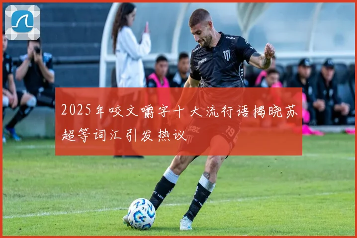 2025年咬文嚼字十大流行语揭晓苏超等词汇引发热议