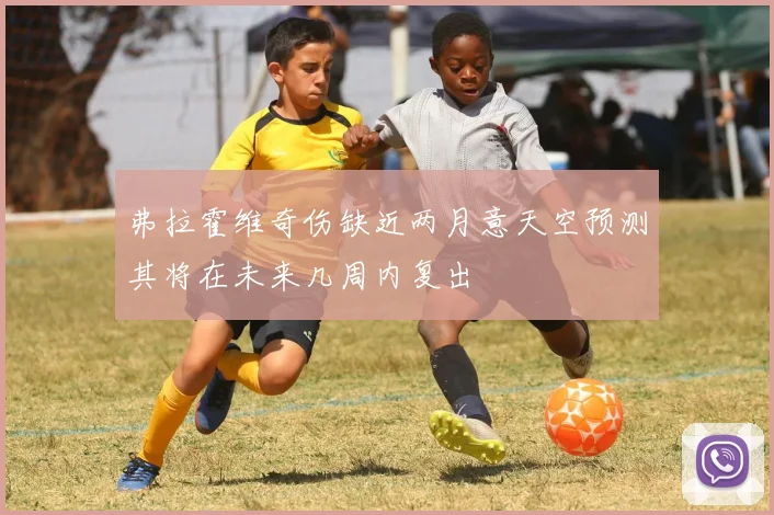 弗拉霍维奇伤缺近两月意天空预测其将在未来几周内复出